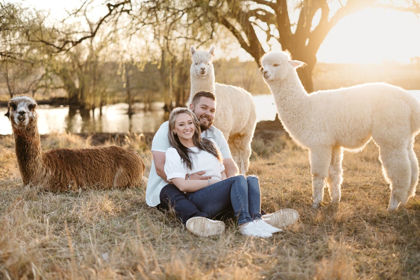 Reini & Tealitia se Verlowing Fotosessie saam met die Llamas